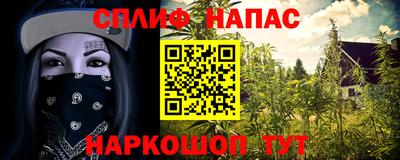 сатива Можга