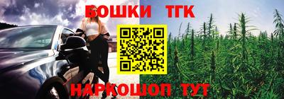 сатива Можга