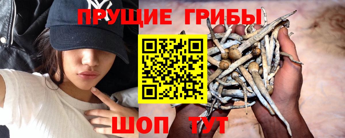 Псилоцибиновые грибы мицелий  Вход с VPN  Тольятти 